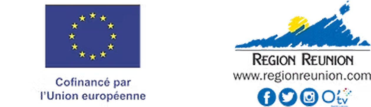 Logo de la ville de Saint-Denis